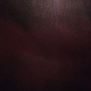 Meet your Posher, Isela